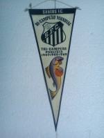 /album/sao-paulo-santos1/fc-santos-48-b-jpg/